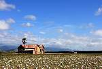 IMG_2538 rabbit island.JPG